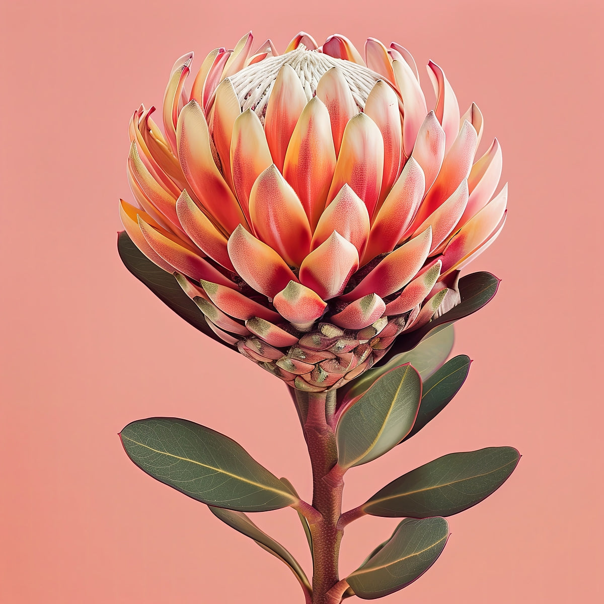 Giclee Fine Art Matte Paper Print