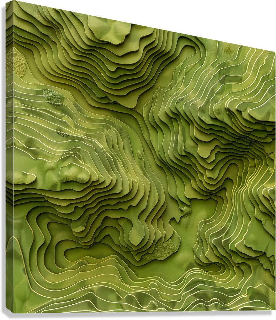 Giclée Stretched Canvas Print