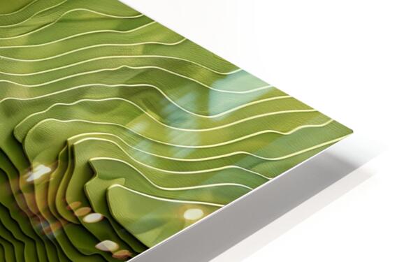 HD Sublimation Metal Print
