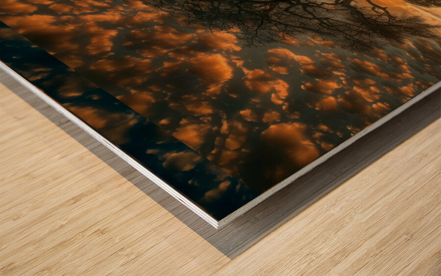 Wood Print